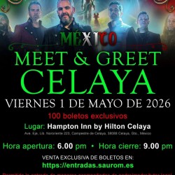 M&G CELAYA (México)
